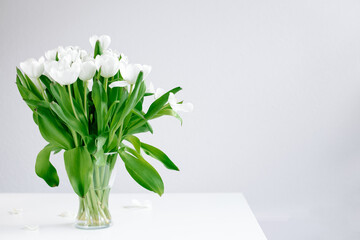 White tulips in a white background with minimalism and nordic look.