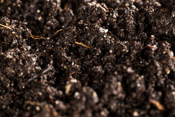 soil for growing vegetables in the garden