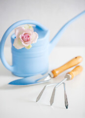 gardening Tools. a blue watering can, a small rake and a flower care shovel. White background