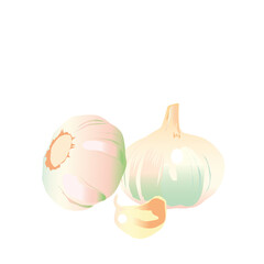 garlic, vector illustration, white background