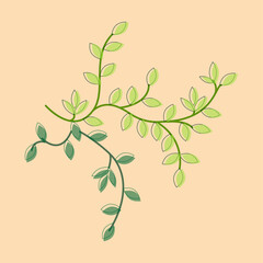 Vector illustration twig with leaves. Patten with green leaf.
