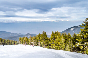 Amazing Winter Landscape with People Skiing and Snowboarding. Ski Slope on a Mountain, Surrounded by High Trees.  Bansko, Bulgaria, Europe