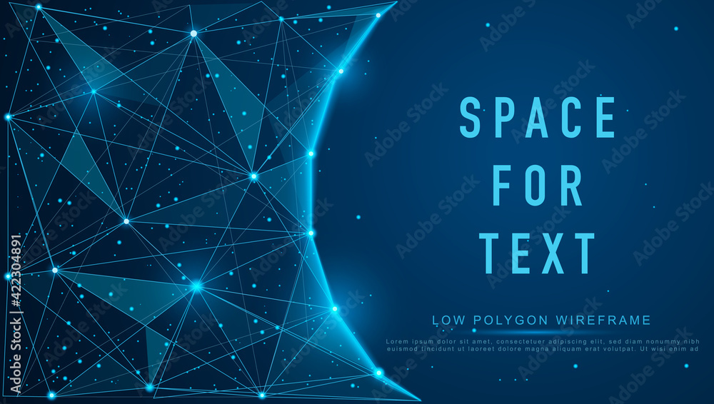 Wall mural magic night sky banner for invitation card. frame template for text or photo with geometric wirefram