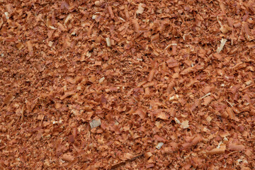Lot of wood chips and sawdust moistened