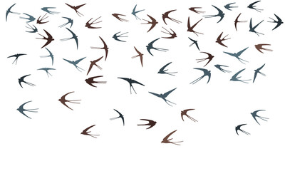 Flying martlet birds silhouettes vector illustration. Nomadic martlets flock isolated on white.