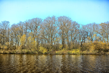 autumn landscape in the park / seasonal yellow landscape sunny park with fallen leaves