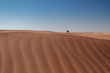 Naklejka premium Sunset over the sand dunes in the desert.