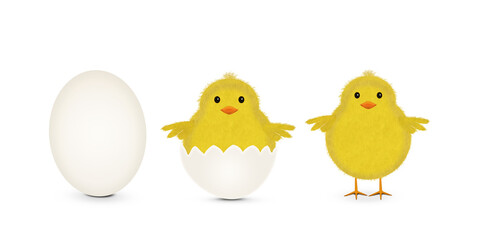 Set of hatched egg and cute Easter chick isolated on white.