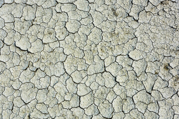 dry and cracked ground as a background