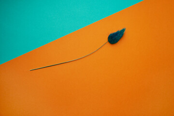 one dry branch on yellow and blue paper, top view