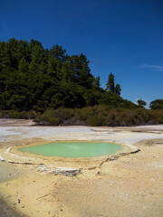 Thermal lake at Waiotapu - New Zealand