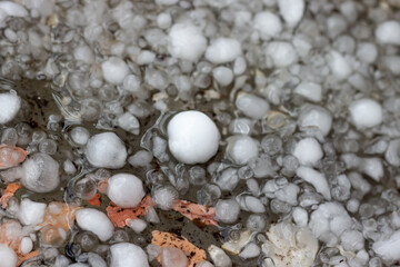 Close up accumulated hailstones on ground after a big hailing look like snow pile. Abnormal precipitation in Turkey. Extraordinary weather conditions as a result of climate change. Selective focus.
