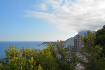 view from the top of the hill