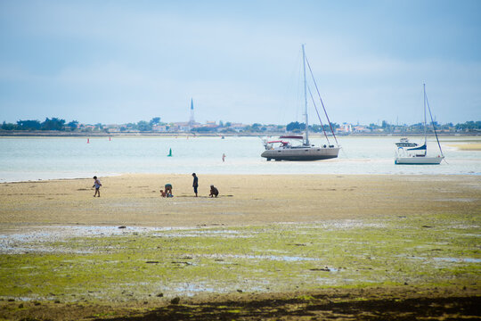 view on Ars-en-r&eacute; from la patache on the isle of ile-de-R&eacute; on lowtide with boats resting and people searching for shells on sunny day in summertime