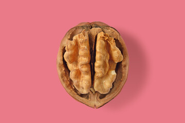 Open walnut on pink background - Concept of brain, walnut and woman