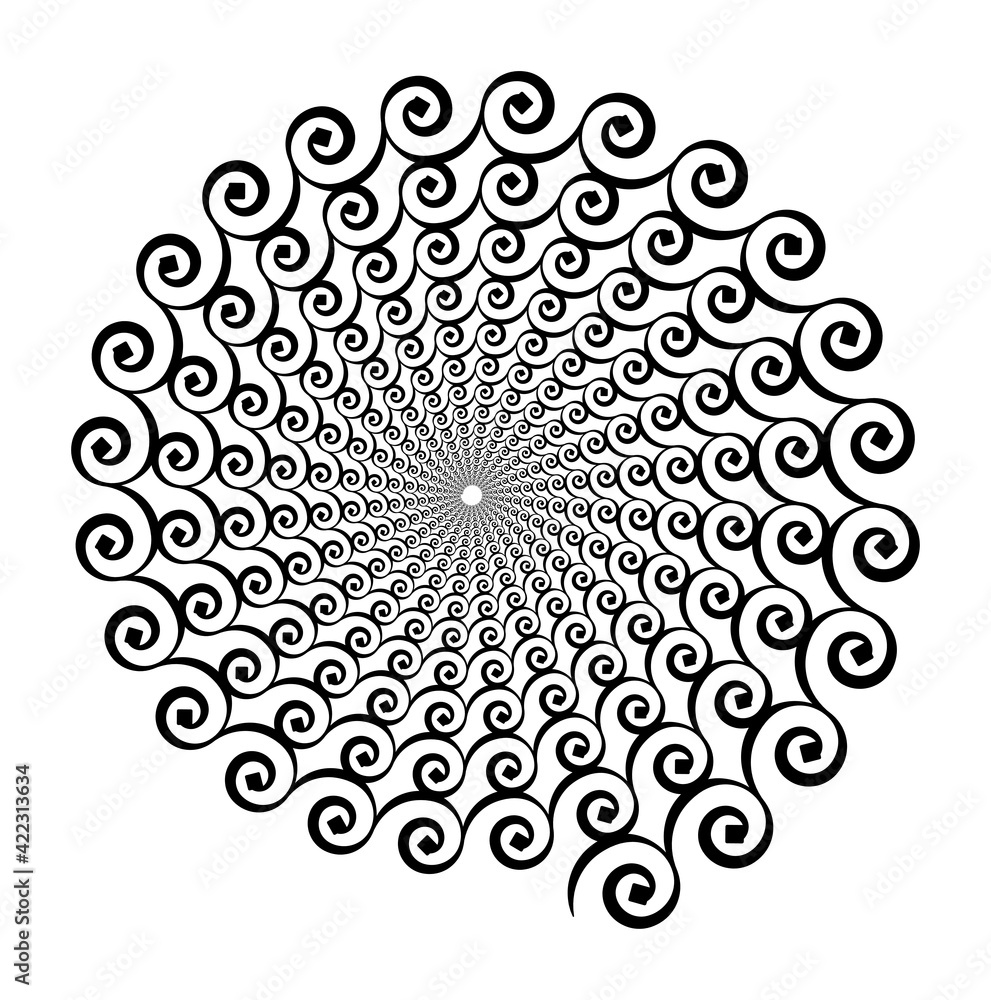 Wall mural spiral vector pattern of curls, spirals on a white background. isolated pattern. black and white, mo