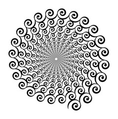 Spiral vector pattern of curls, spirals on a white background. Isolated pattern. Black and white, monochrome