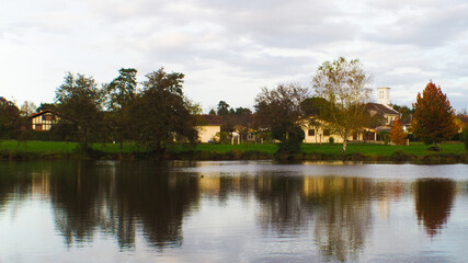 Fototapeta na wymiar Cadre idyllique au bord d'un étang, magnifié par les couleurs de l'automne