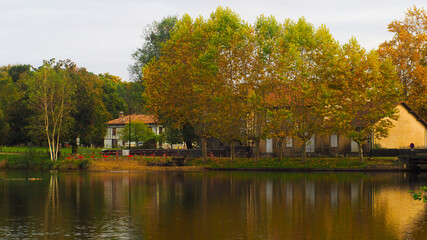 Fototapeta na wymiar Cadre idyllique au bord d'un étang, magnifié par les couleurs de l'automne