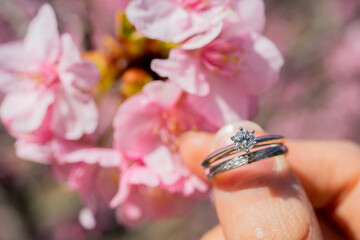 桜の花と結婚指輪