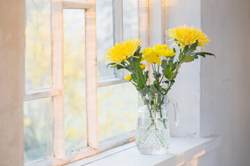 yellow flowers on white windowsill