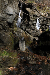 waterfall in the forest