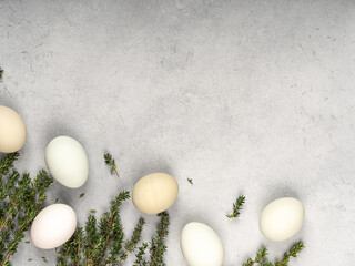 Sprigs of spicy thyme with eggs on a gray background top view.