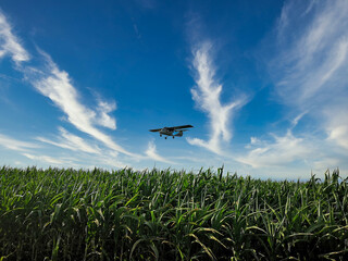 airplane in the field