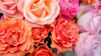 商用で使えるバラの写真