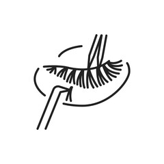 Eyelash extensions color line icon. Pictogram for web page, mobile app, promo.