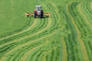Erstes Mähen einer Wiese im Frühjahr in Österreich - First mowing of a meadow in spring in Austria © Spitzi-Foto