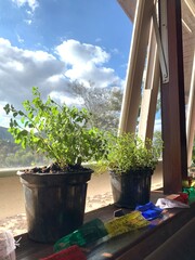 Australia;
India;
Nepal;