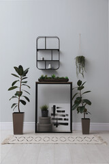 Console table with houseplants near light wall in room. Interior design