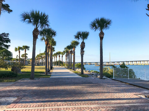 Fort Pierce, St. Lucie County, Florida, Waterfront walkway lined with palm trees along Indian River Drive. Sunny day, bridge in the background. Near downtown Fort Pierce.