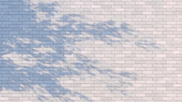 爽やかな陽光に照らされた白壁に揺れる木陰のモーショングラフィックス / ループ再生可能 / 3Dレンダリング / バックグラウンド・モーションイメージ