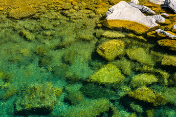 The stones under the pond, close-up as a background.