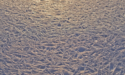 Cracked ice texture, abstract pattern of ice on sunrise. Winter background. A natural phenomenon. Christmas background
