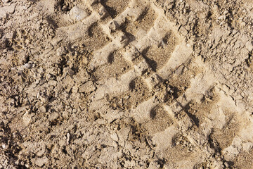 Tyre mark background. Tire track shape. Trail lines on dry brown sand pattern. Road construction site backdrop. Heavy machinery imprint. Dried mud vehicle wheel shape.
