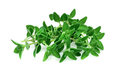 Fototapeta na wymiar fresh thyme or Lemon thyme leaf isolated on a white background ,Green leaves pattern
