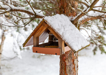 Homemade wooden bird feeder covered with snow on a pine tree. Inside there is food for birds. Winter landscape