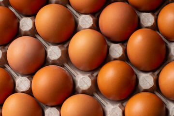 Rural, raw and fresh eggs in cartoon egg box tray, close-up with soft and select focus and isolated copy space.