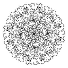 Blossom crocus flowers mandala line art stock vector illustration. Funny spring floral mandala black outline white isolated. Natural motif coloring book page for children and adults. One of a series