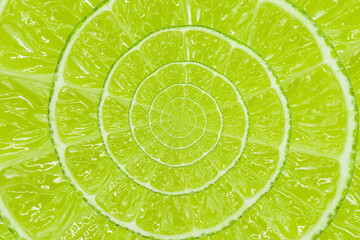 Top view of textured ripe slice of organic lime citrus fruit with spiral endless fine-skinned. Cool...