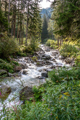 Bergbach im &Ouml;tztal