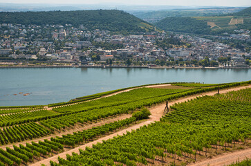 Blick auf Bingen und den Rhein in Deutschland
