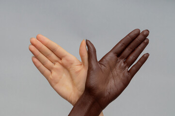Two hands with white and black skin, in the shape of bird on gray isolated background. Close-up,...