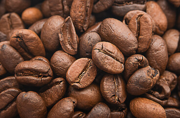 Сoffee bean background for posters