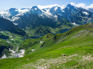 Fototapeta na wymiar Green grass on Road to Großglockner National Park in Austria in the Alps to see marmots.