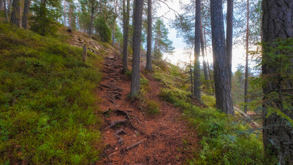 path in the mountains of karelia in autumn