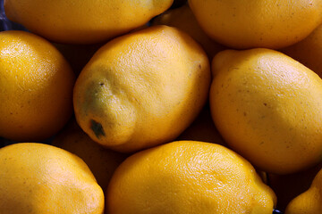 A closeup of a bunch of lemons. Lemon background. 